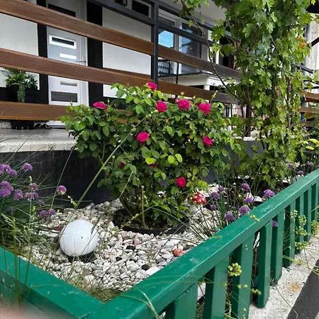 Salma * サラエヴォ