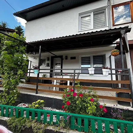 Salma Sarajevo